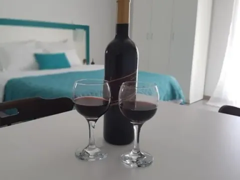 Prodaja, kuća, 498m², Budva, Crna Gora - image 4