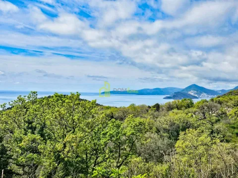 Prodaja, plac, 3000m², Budva, Crna Gora - image 4