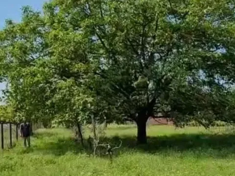 Izdavanje, plac, 2401m², Podgorica, Crna Gora - image 5