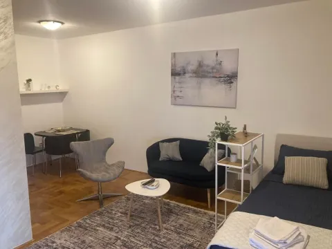 Izdavanje, garsonjera, 45m², Preko Morače, Podgorica - image 8