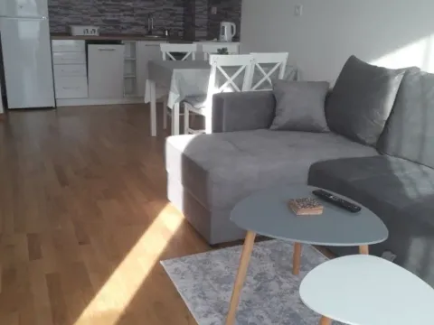 Izdavanje, stan, 43m², Bečići, Budva - image 6