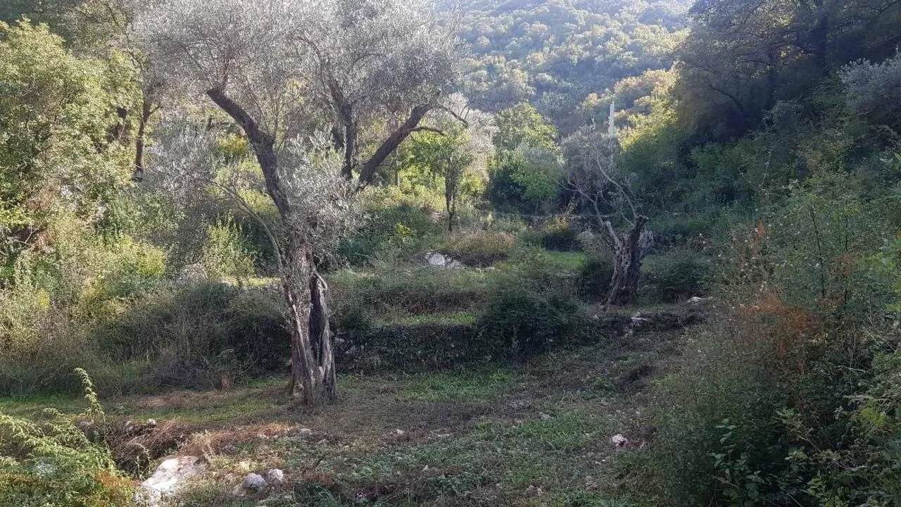 Prodaja, plac, 3413m², Bartula, Bar