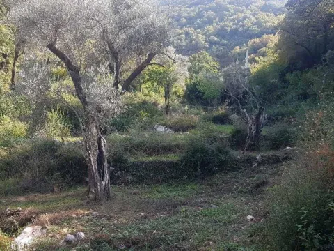 Prodaja, plac, 3413m², Bartula, Bar - image 4