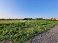 Prodaja, plac, Jakovo, Surčin - image 12