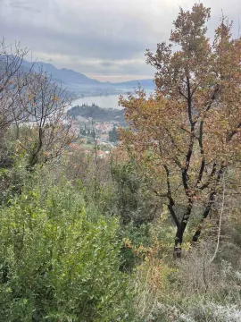 Pogled na zaliv i okolni pejzaž sa zelenilom u prvom planu. - image 2