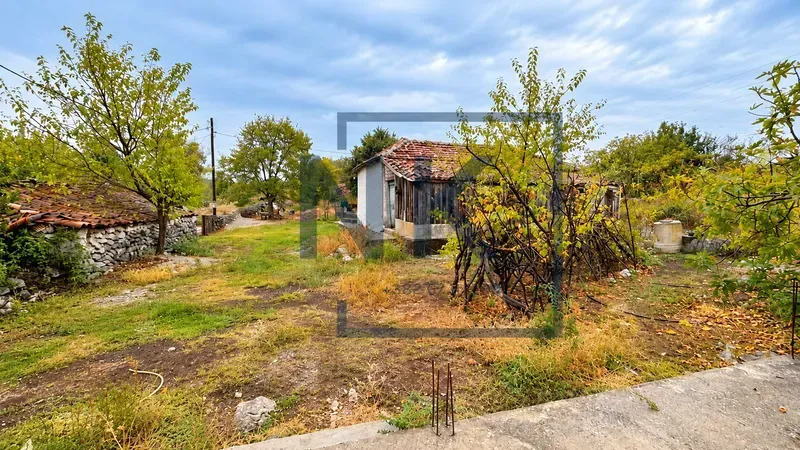 Pogled na dvorište i stare kamene objekte sa rastinjem.