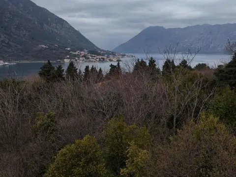 Prodaja, plac, 3500m², Dobrota, Kotor - image 6