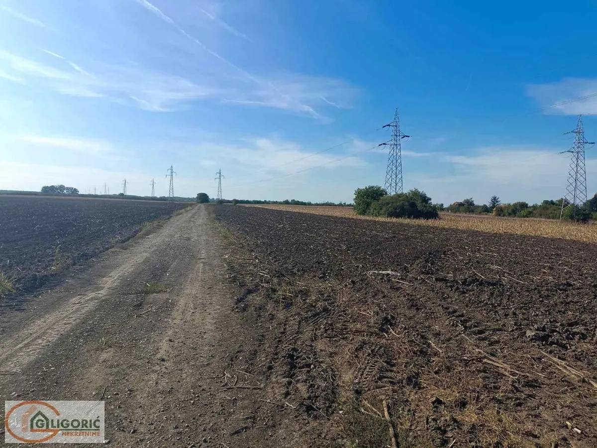 Prodaja, plac, 5000m², Pančevo, Srbija