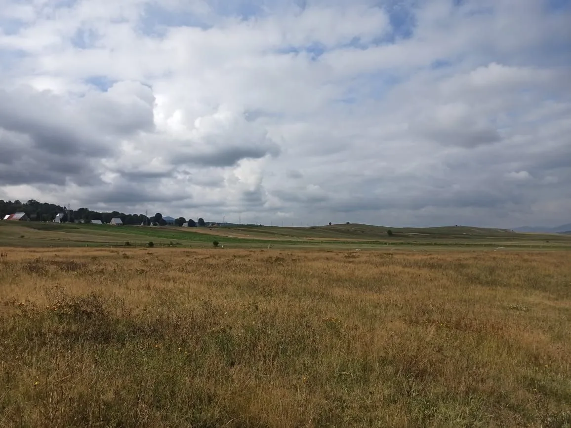 Prodaja, plac, 5435m², Žabljak, Crna Gora