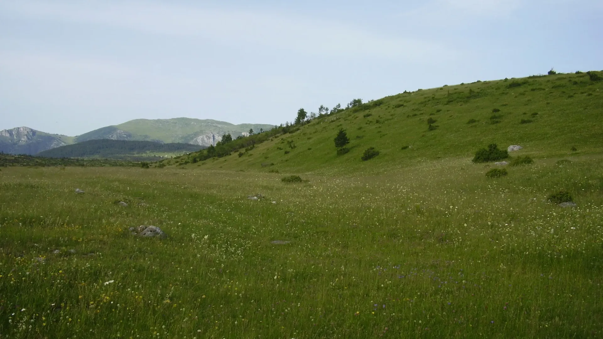 Prodaja, plac, 11606m², Borje, Žabljak