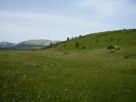 Prodaja, plac, 11606m², Borje, Žabljak - image 3
