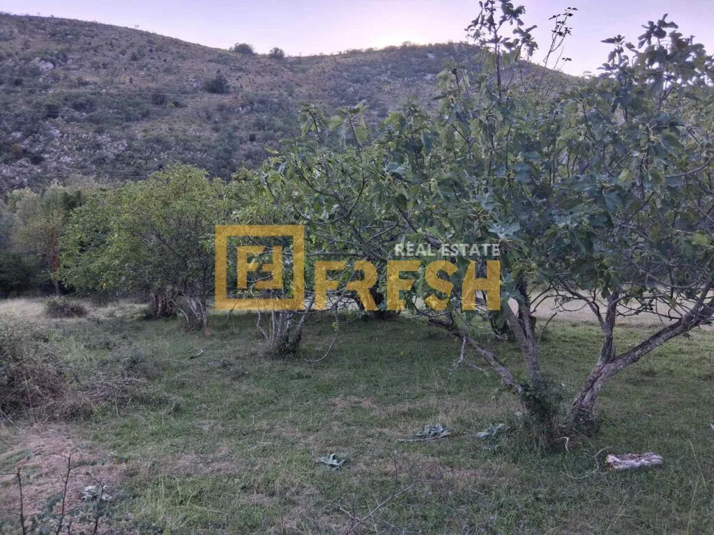Prodaja, plac, 3280m², Danilovgrad, Crna Gora