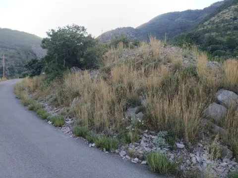 Sale, land lot, 3200m², Jošica, Herceg Novi - image 5