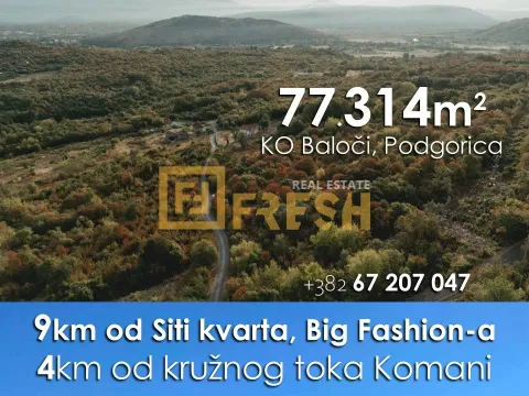 Sale, land lot, 77314m², Ostalo, Podgorica - image 5