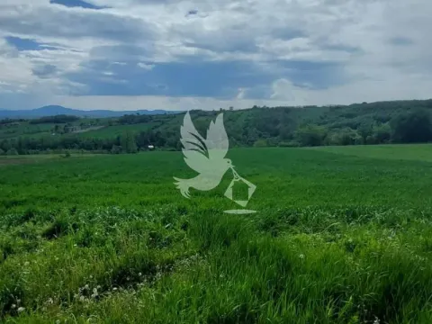 Sale, land lot, 4000m², Koraćica, Mladenovac - image 2