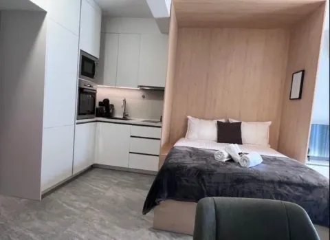 Kompaktan studio apartman sa krevetom na sklapanje i mini kuhinjom. - image 7