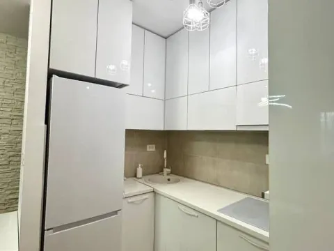 Izdavanje, jednosoban stan, 45m², Zagorič, Podgorica - image 3