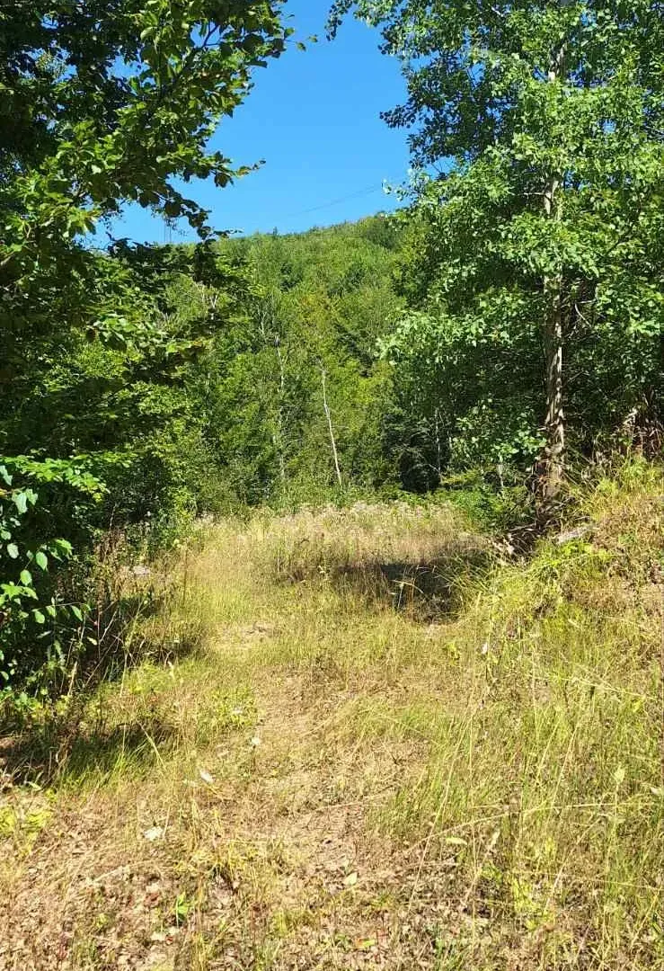 Prodaja, plac, 500m², Kolašin, Crna Gora