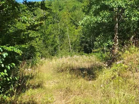 Sale, land lot, 500m², Kolašin, Crna Gora - image 3
