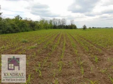 Sale, land lot, 58m², Zvečka, Obrenovac