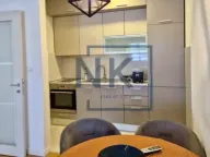 Izdavanje, jednosoban stan, 49m², Central Point, Podgorica - image 4