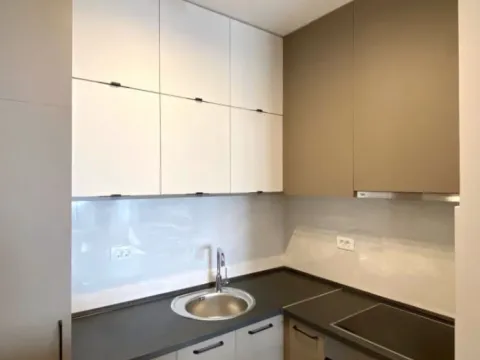 Izdavanje, jednosoban stan, 47m², Central Point, Podgorica - image 5