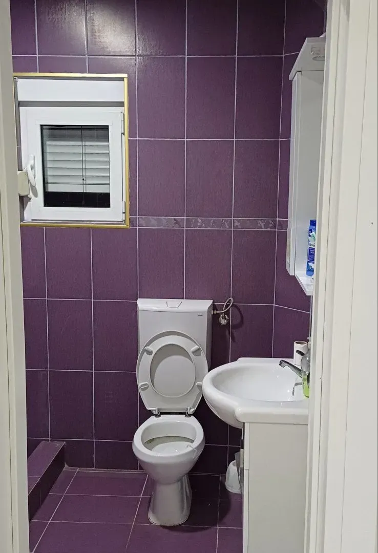 Rent, house, 200m², Donji Kokoti, Podgorica