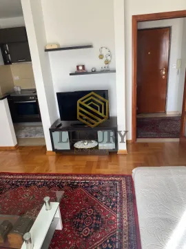 Rent, one bedroom apartment, 52m², Preko Morače, Podgorica - image 5