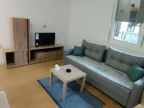 Izdavanje, jednosoban stan, 32m², Centar, Novi Sad - image 2