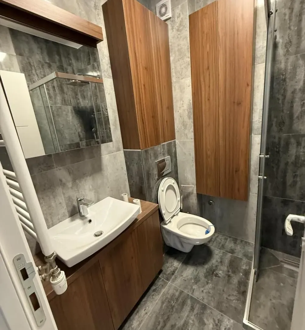 Izdavanje, dvosoban stan, 56m², Vračar Sve Podlokacije, Beograd