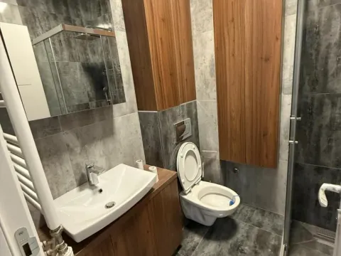 Izdavanje, dvosoban stan, 56m², Vračar Sve Podlokacije, Beograd - image 10