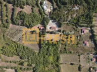 Prodaja, plac, 1600m², Danilovgrad, Crna Gora - image 1