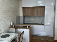 Izdavanje, jednosoban stan, 43m², Stari Aerodrom, Podgorica - image 5