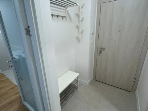 Izdavanje, jednosoban stan, 40m², Zabjelo, Podgorica - image 10