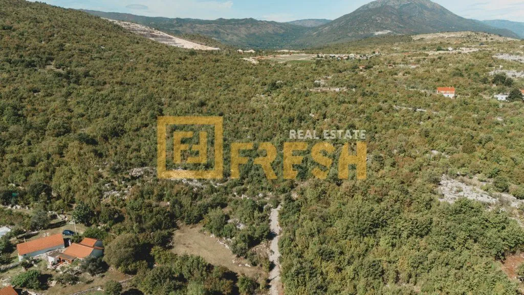 Prodaja, plac, 13500m², Danilovgrad, Crna Gora