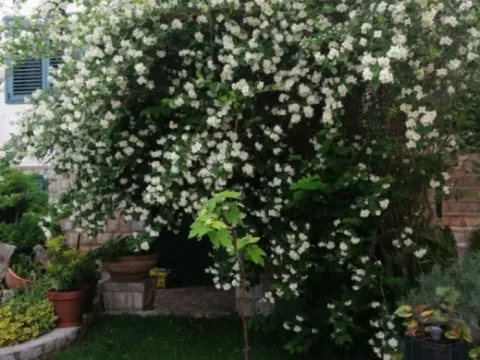 Sale, house, 287m², Lazi, Budva - image 4