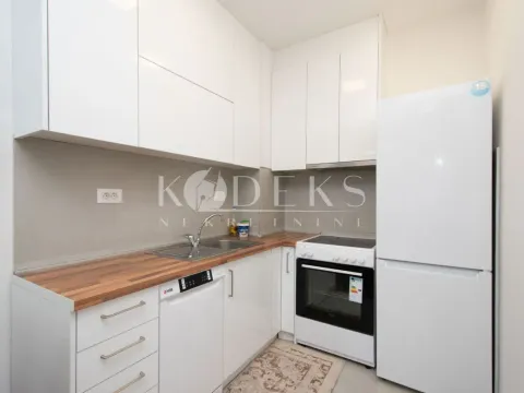 Izdavanje, jednosoban stan, 45m², Stari Aerodrom, Podgorica - image 2