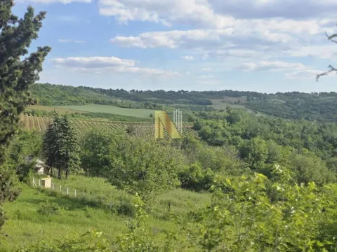 Sale, land lot, 4200m², Sremski Karlovci, Novi Sad - image 4