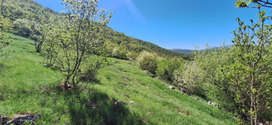 Prodaja,  zemljište, 26000m2, Čevo, Cetinje