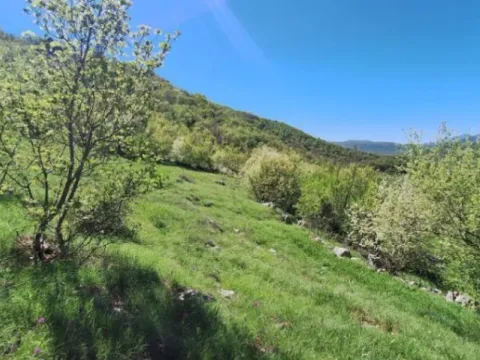 Prodaja,  zemljište, 26000m2, Čevo, Cetinje