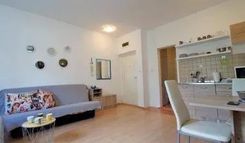 Rent, studio apartment, 30m², Bečići, Budva - image 7