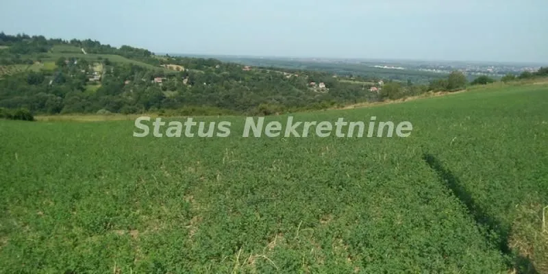 Prodaja, plac, 7600m², Ledinci, Petrovaradin