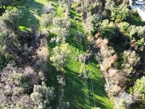 Prodaja, plac, 1650m², Kavač, Kotor - image 7