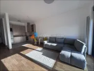 Izdavanje, dvosoban stan, 64m², Bežanijska Kosa 3, Bežanijska Kosa Sve Podlokacije - image 2