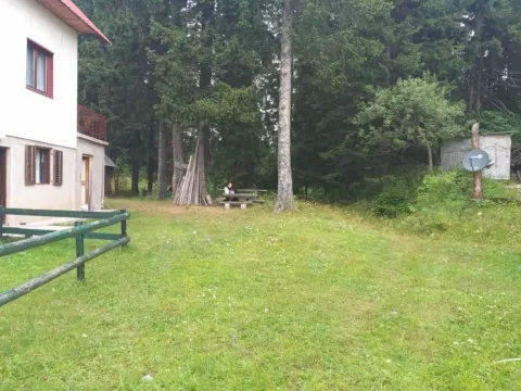 Prodaja, plac, 350m², Žabljak, Crna Gora - image 5