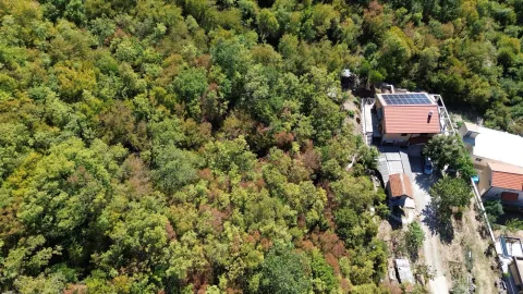Pogled iz vazduha na kuću okruženu šumom. - image 3
