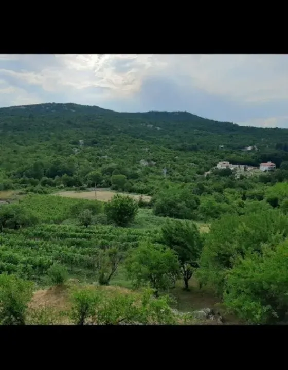 Prodaja, plac, 9300m², Rvaši, Cetinje