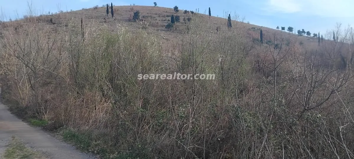Prodaja, plac, 2386m², Dajbabe, Podgorica