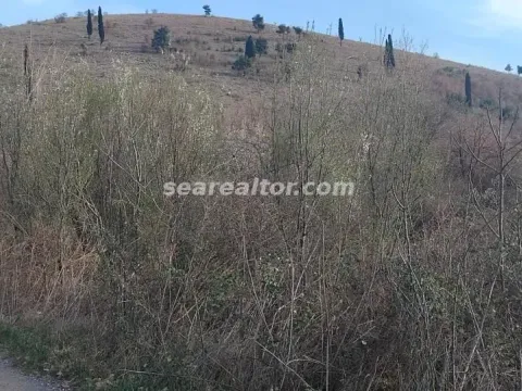 Prodaja, plac, 2386m², Dajbabe, Podgorica - image 3