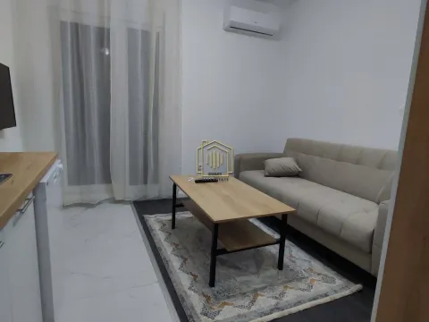 Rent, apartment, 20m², Zabjelo, Podgorica - image 8